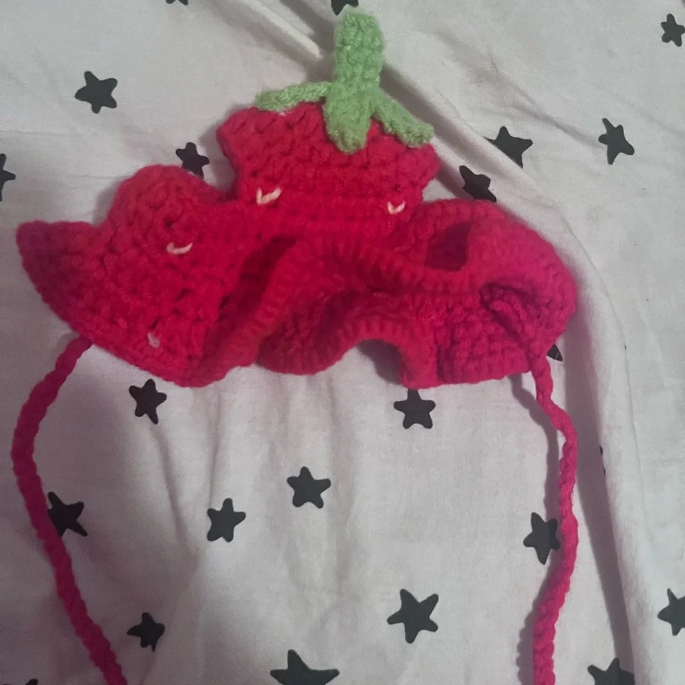 Crochet strawberry hat for cats